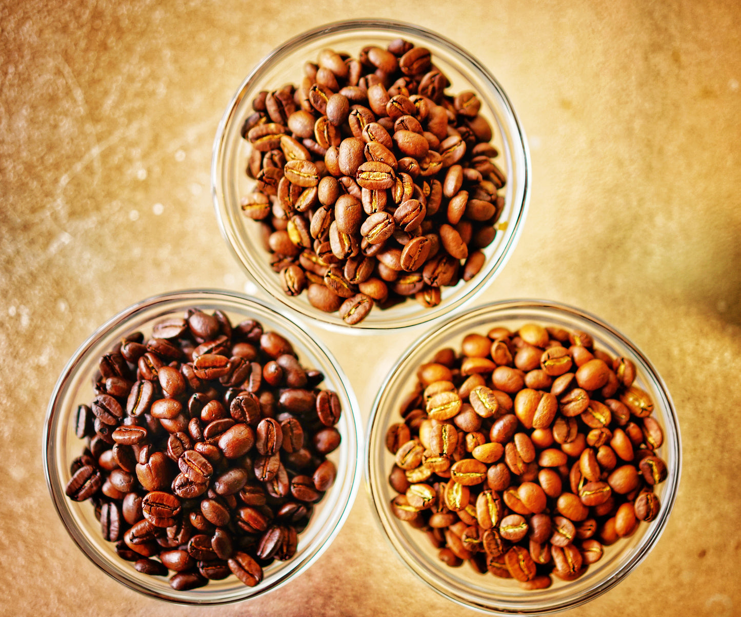 Transcendent House Blend image 2