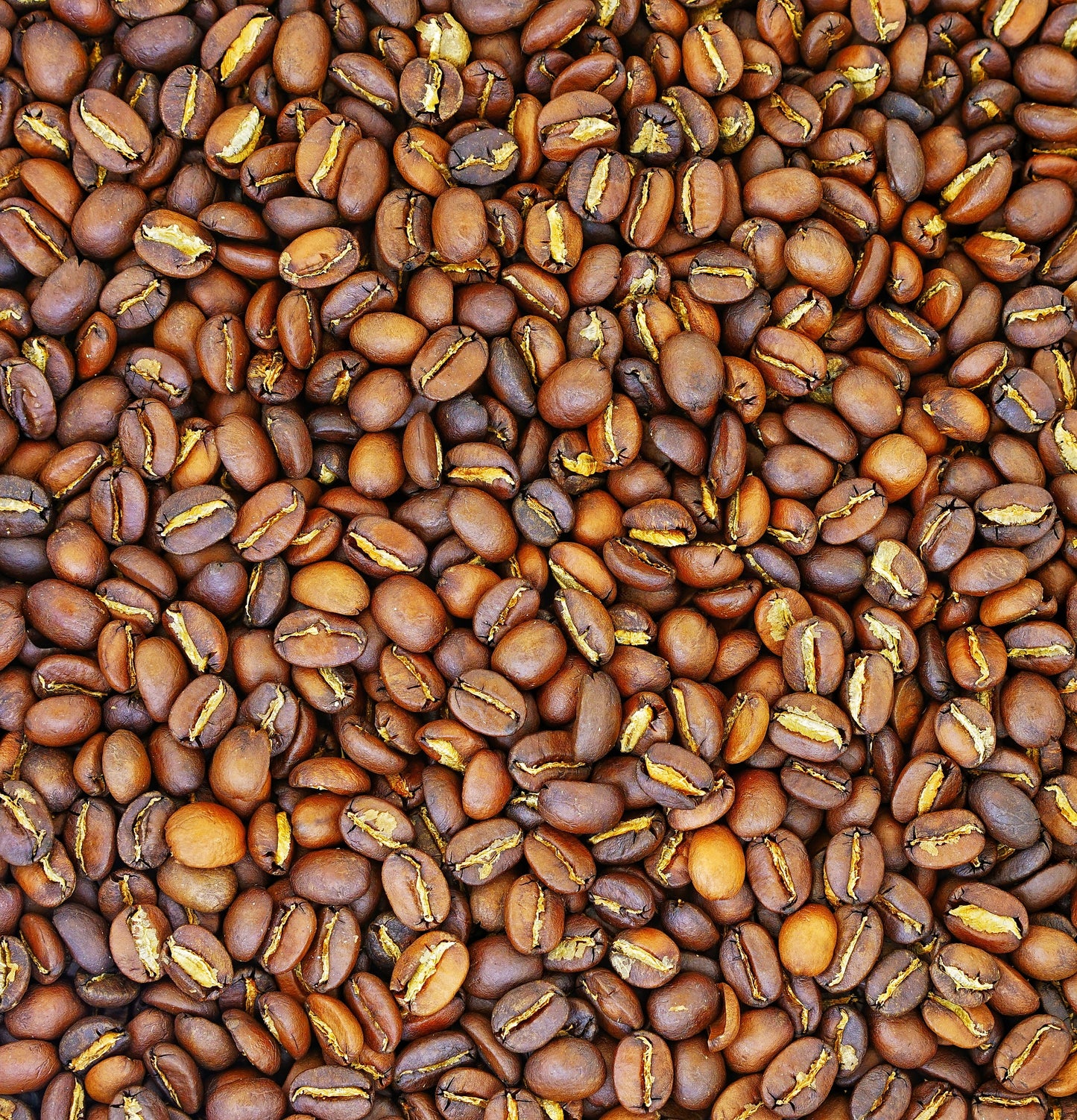 Transcendent House Blend image 4